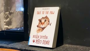 'Nhân duyên mèo định' - Hành trình chữa lành lẫn nhau giữa những trái tim tổn thương