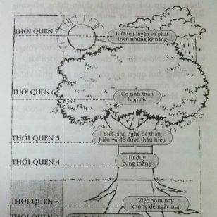 Bài học từ '7 thói quen của bạn trẻ thành đạt'