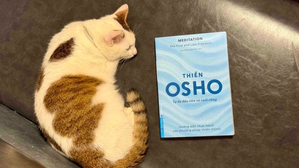 ‘Thiền - Tự do đầu tiên và cuối cùng’ -  Cẩm nang thiền trong đời sống hiện đại