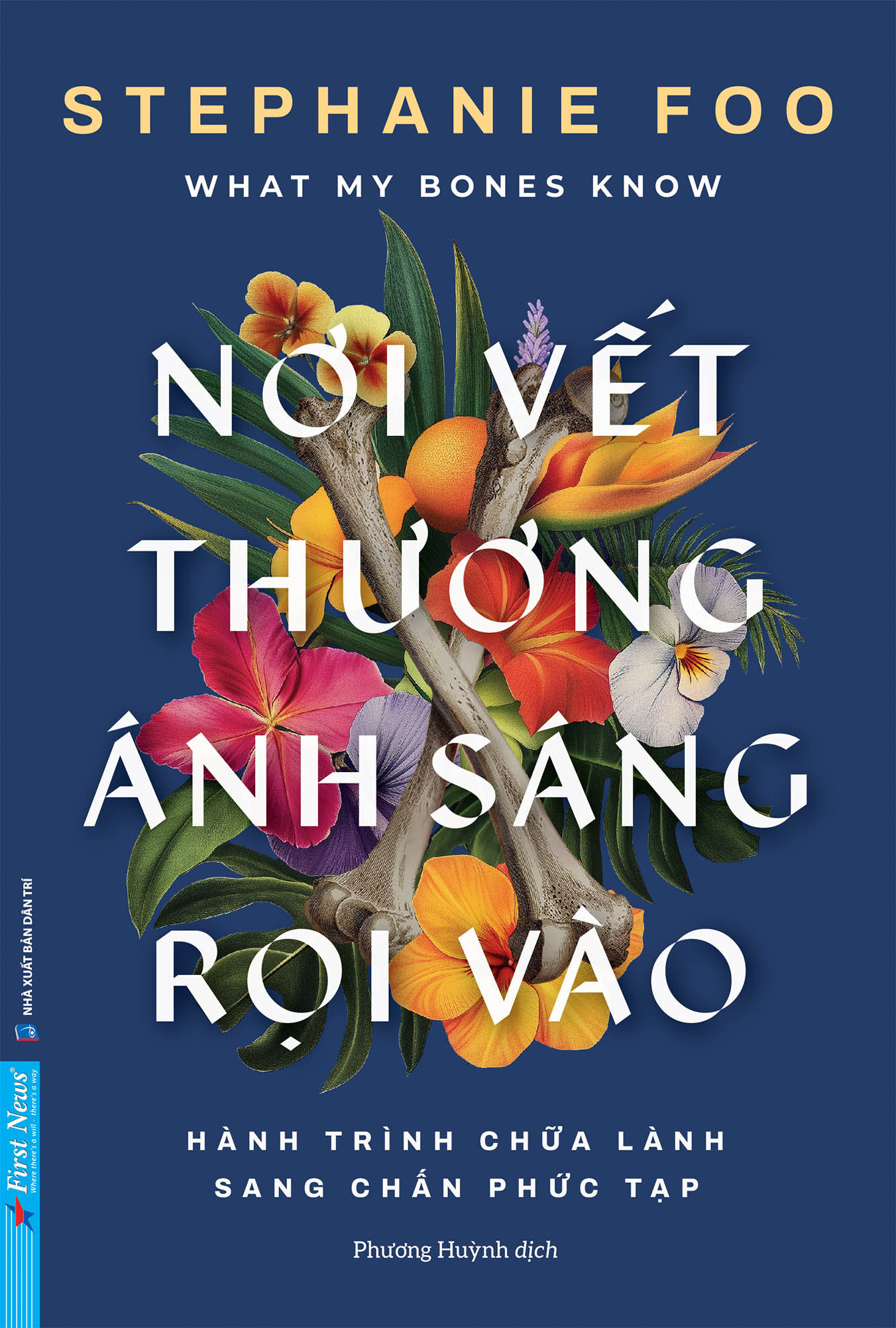 Nơi Vết Thương Ánh Sáng Rọi Vào