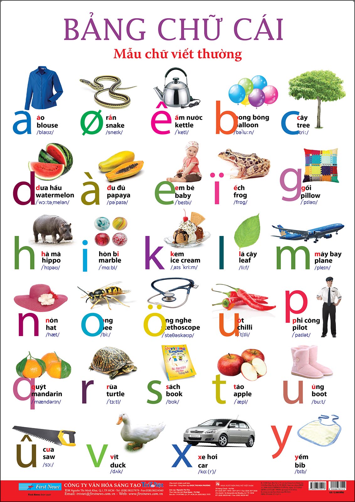 Poster Lớn - Bảng Chữ Cái Việt Nam: Mẫu Chữ Viết Thường