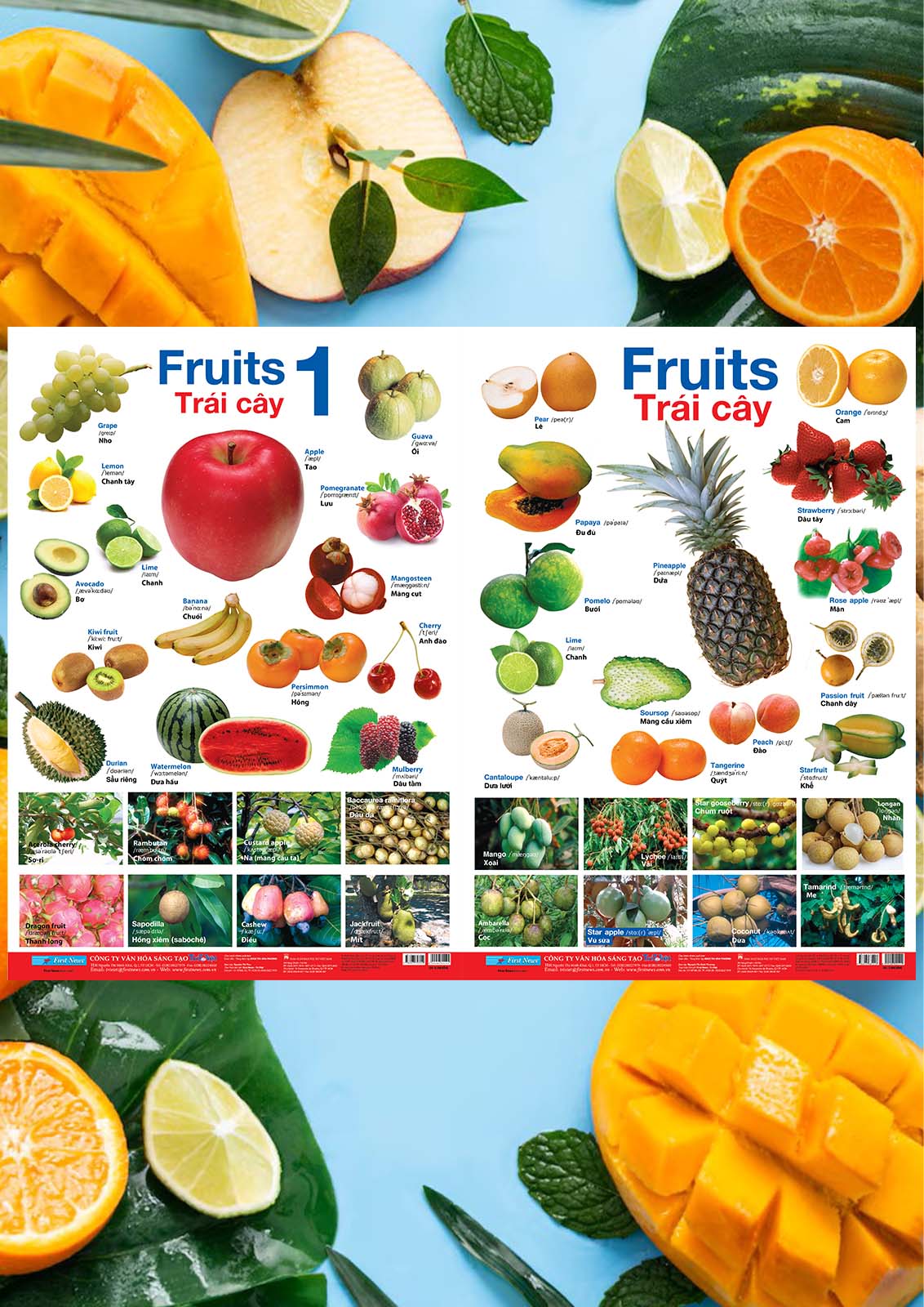 Poster Lớn 2 Mặt - Trái Cây 1 và 2